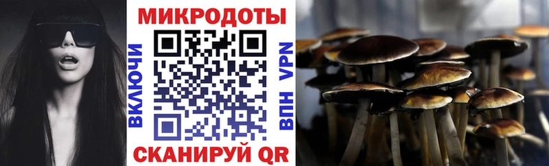 Галлюциногенные грибы GOLDEN TEACHER  shop Telegram  Иваново 