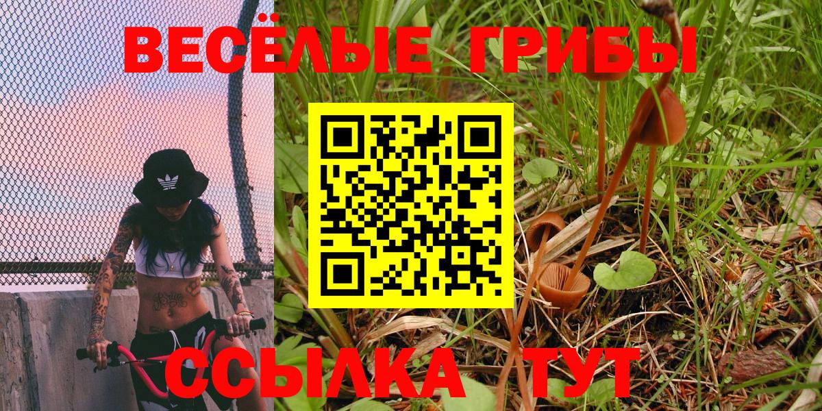 Псилоцибиновые грибы MAGIC MUSHROOMS Иваново